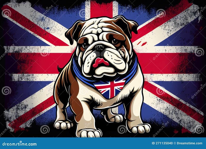 Spindog casino - What you need to know before you start